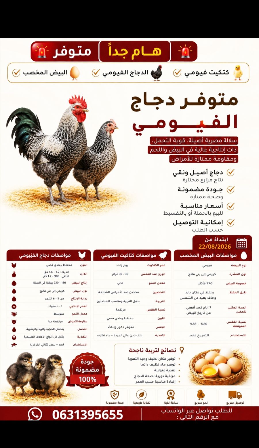 دجاج الفيومي للبيع